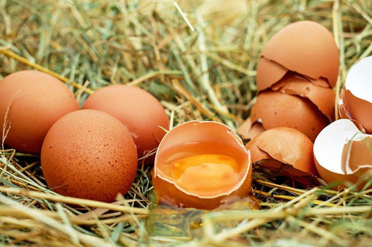Choline: The New Pregnancy Super-Nutrient - Mumberry