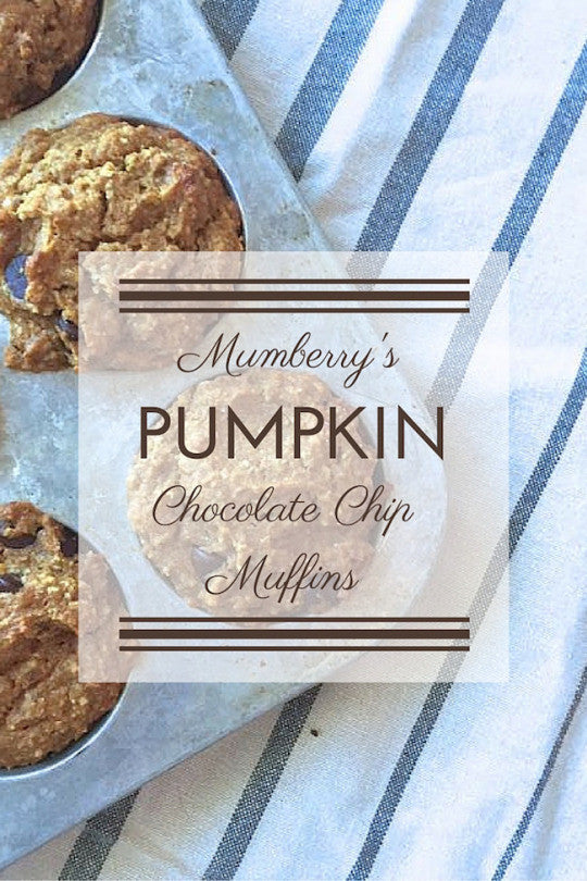 Pumpkin Chocolate Chip Muffins - Mumberry